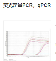 熒光定量PCR,qPCR實驗服務